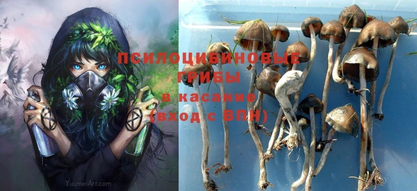 не бодяженный Сатка