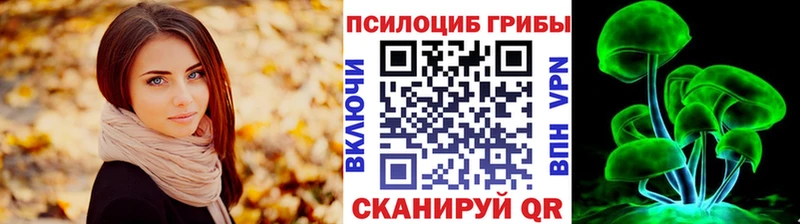 купить наркотик  Сертолово  Галлюциногенные грибы Psilocybe 