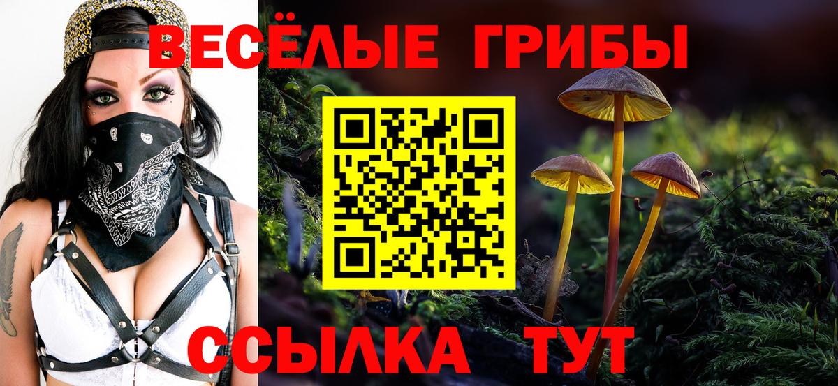 Галлюциногенные грибы мухоморы  Вход с VPN  Галлюциногенные грибы прущие грибы  Сертолово 