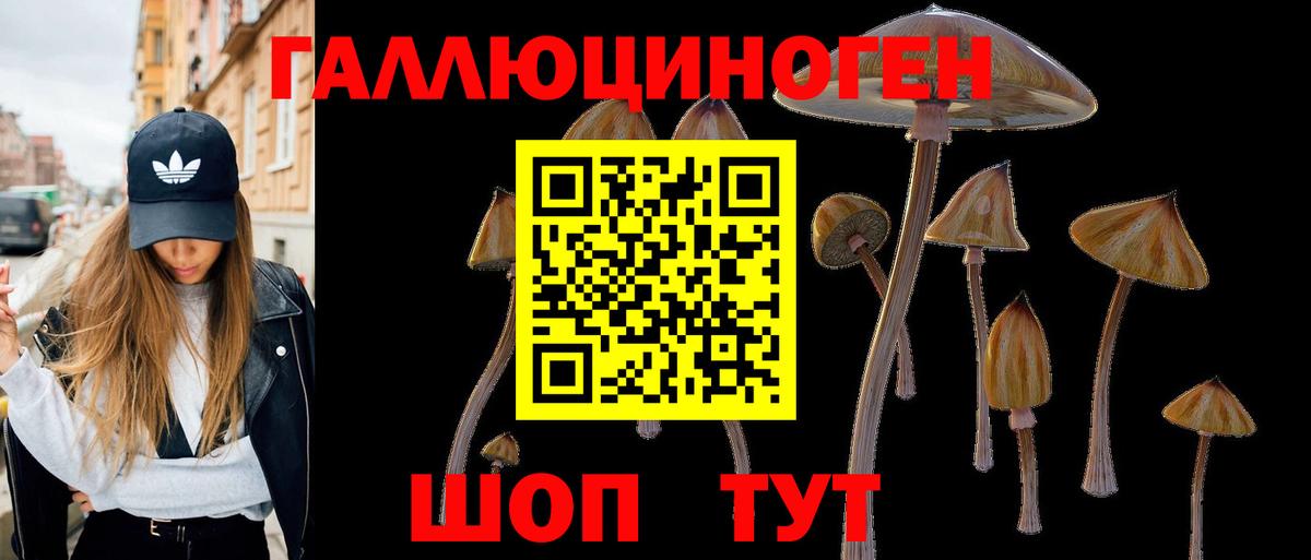 Псилоцибиновые грибы мицелий Сертолово